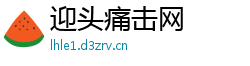 迎头痛击网